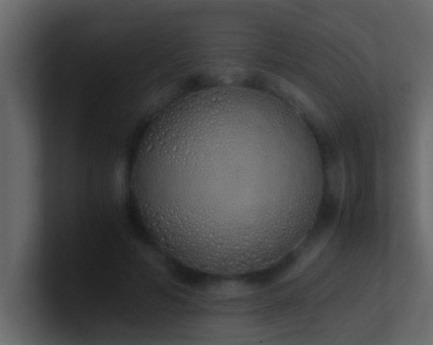 X0000101680594200807101423