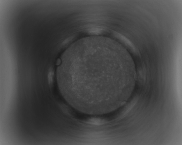 X0000101680596200807101423