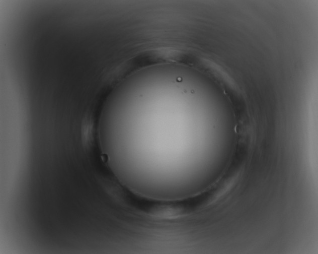 X0000101680597200807101423