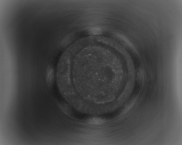 X0000101680598200807101423