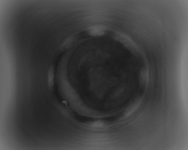 X0000101680600200807101423