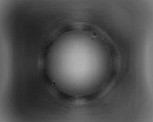 X0000101680601200807101423