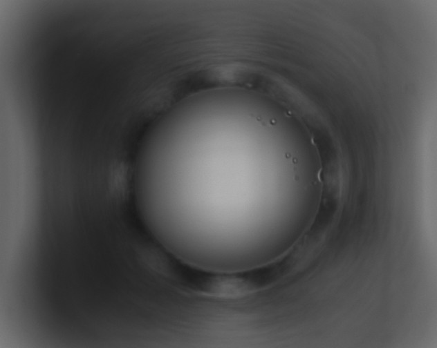 X0000101680605200807101423