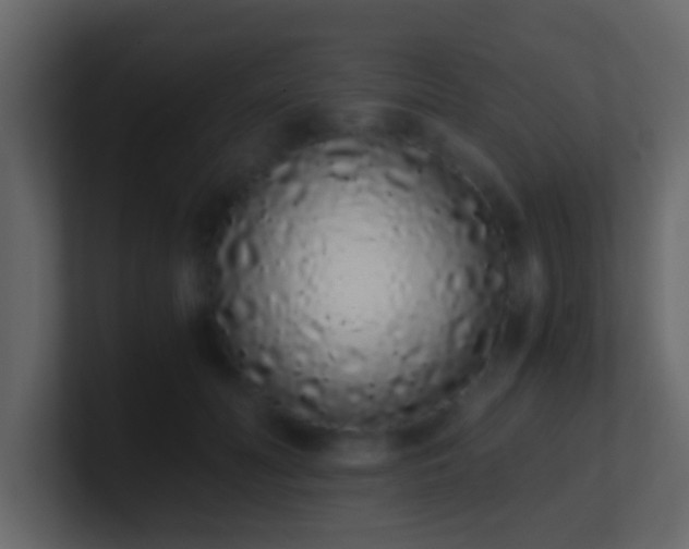 X0000101680606200807101423