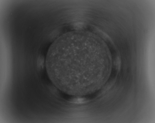 X0000101680610200807101423