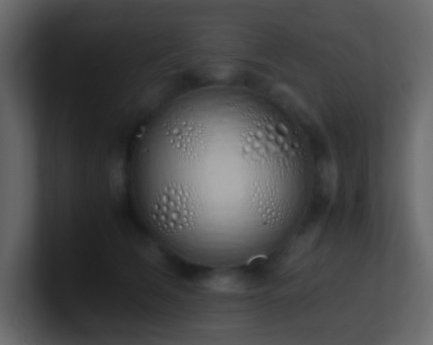 X0000101680612200807101423