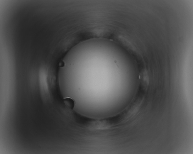 X0000101680615200807101423