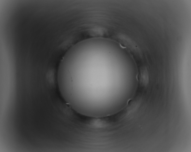 X0000101680616200807101423