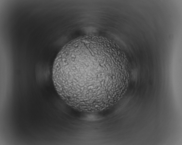 X0000101680618200807101423