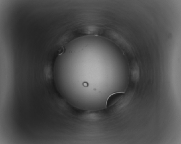 X0000101680620200807101423