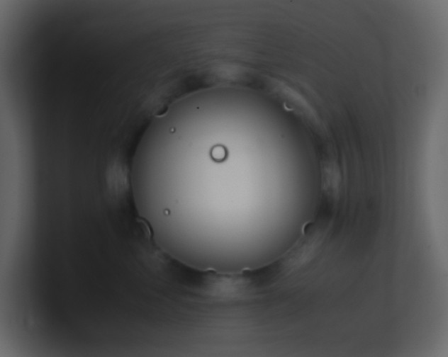 X0000101680621200807101423