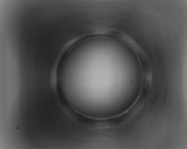 X0000101680628200807101422