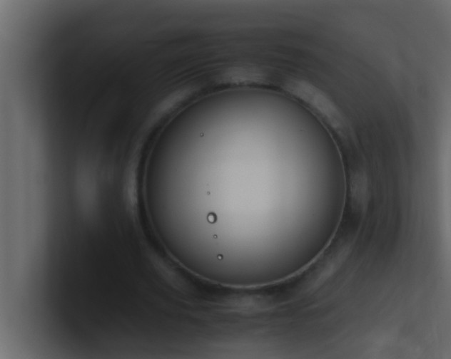 X0000101680629200807101422