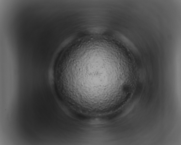 X0000101680634200807101422