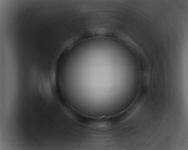 X0000101680638200807101422