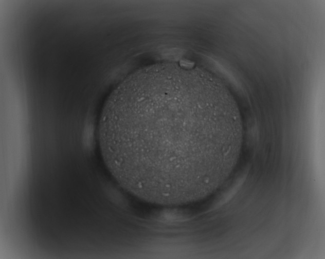 X0000101680641200807101422