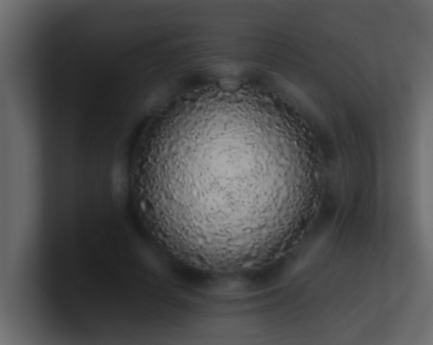 X0000101680642200807101422