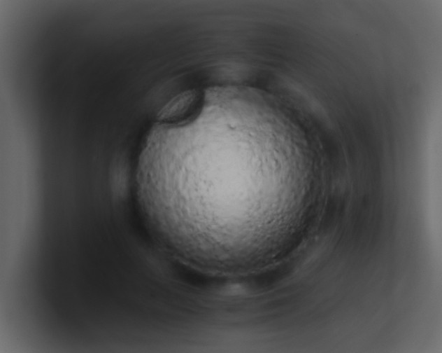 X0000101680647200807101422