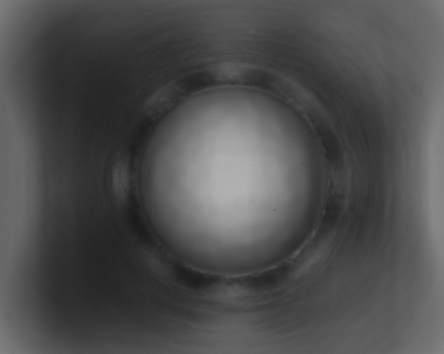 X0000101680648200807101422