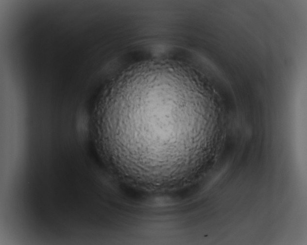 X0000101680650200807101422