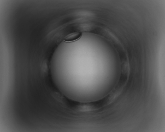 X0000101680655200807101422