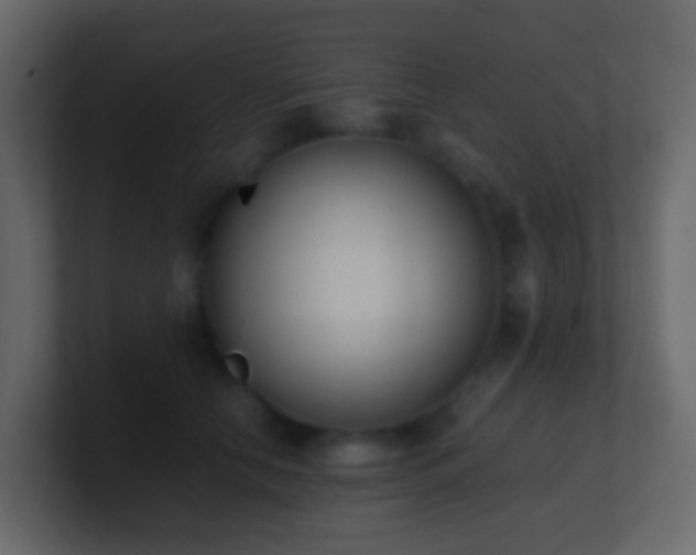 X0000101680658200807101422