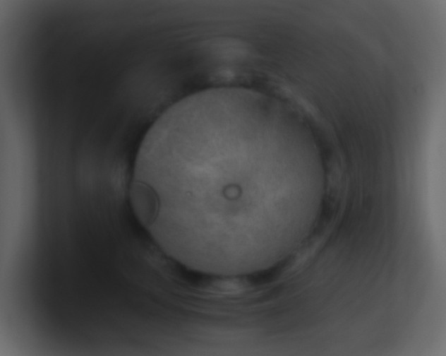 X0000101680659200807101422