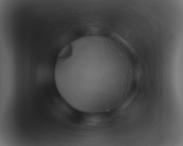 X0000101680661200807101422