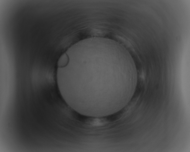 X0000101680663200807101422