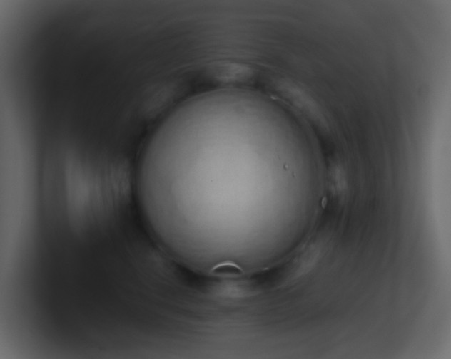 X0000101680664200807101422