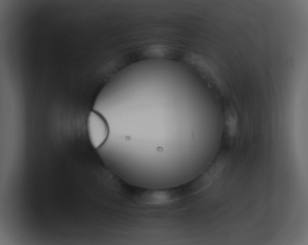 X0000101680665200807101422