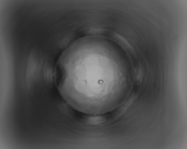 X0000101680669200807101423