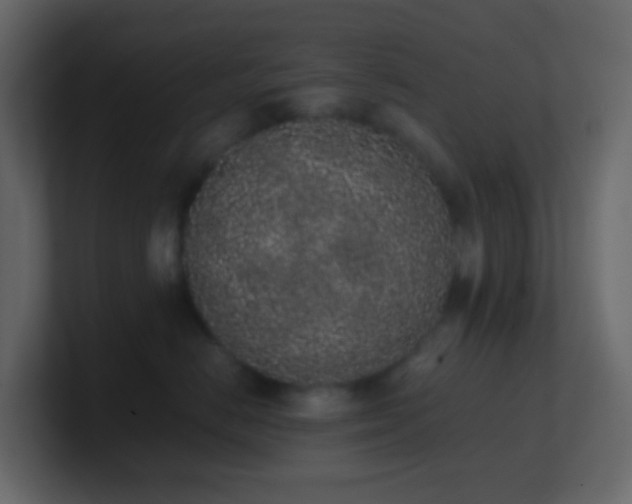 X0000101680670200807101423