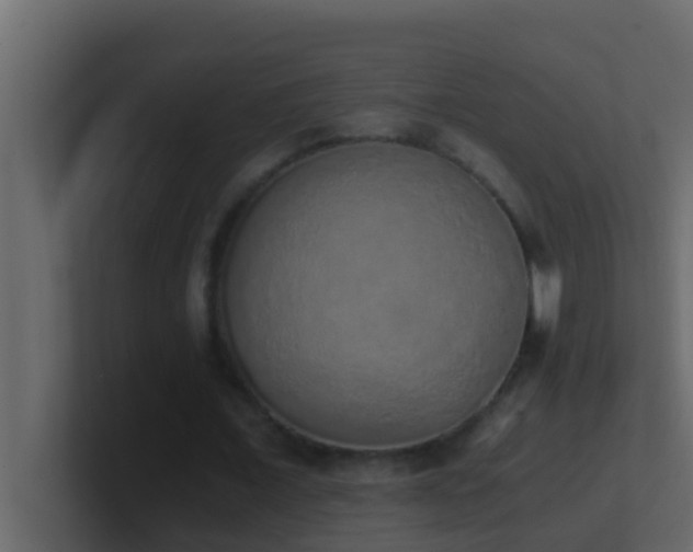 X0000101680675200807101422