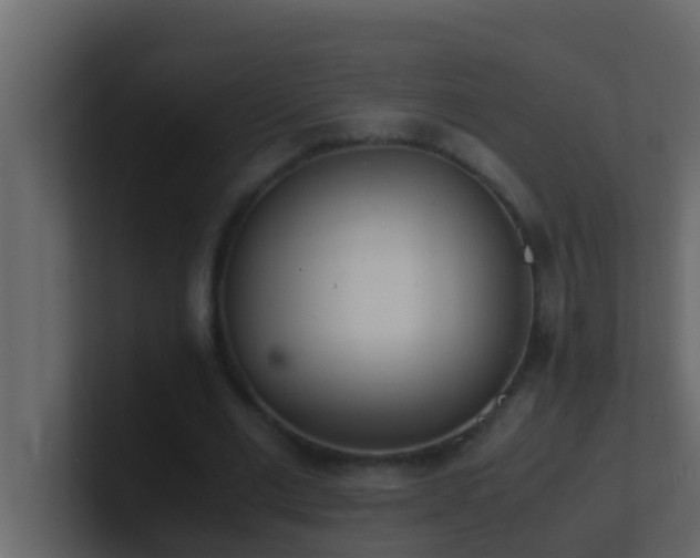 X0000101680677200807101422