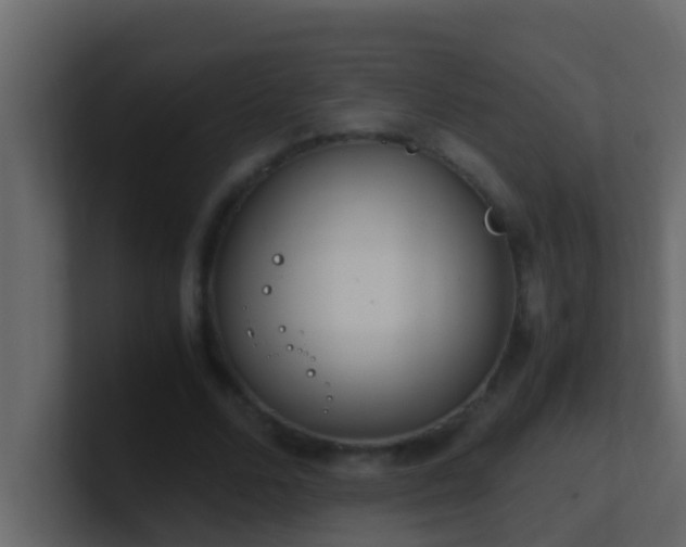 X0000101680680200807101422