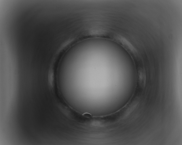 X0000101680684200807101422