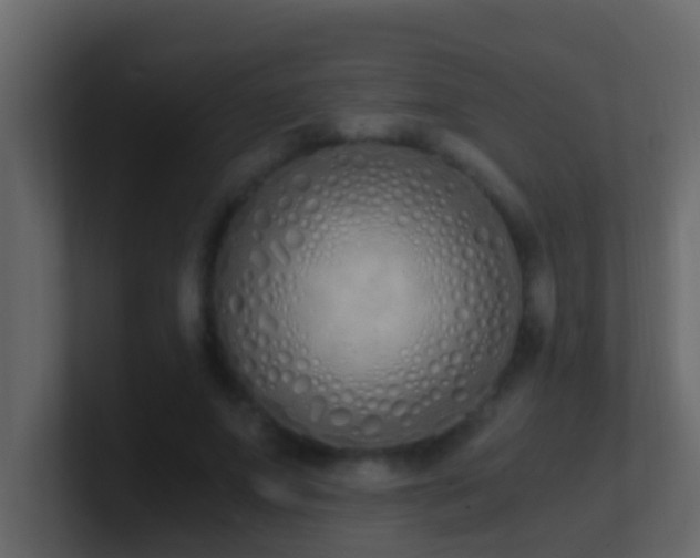 X0000101680687200807101422