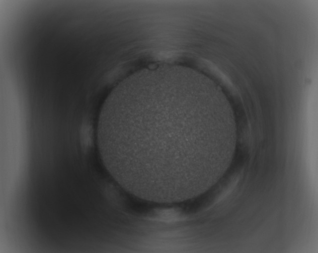 X0000101680689200807101422