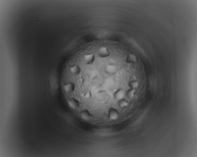 X0000101680691200807101422