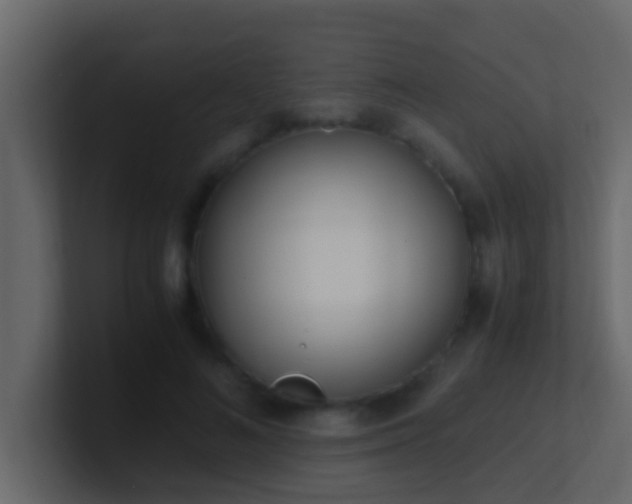 X0000101680692200807101422