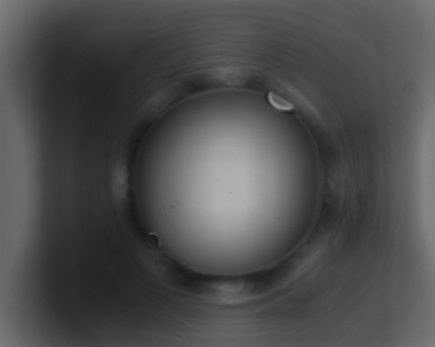 X0000101680693200807101422