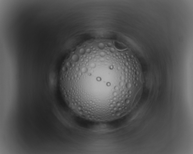 X0000101680695200807101422