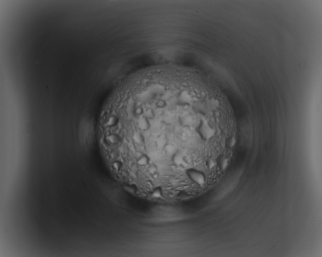 X0000101680699200807101422