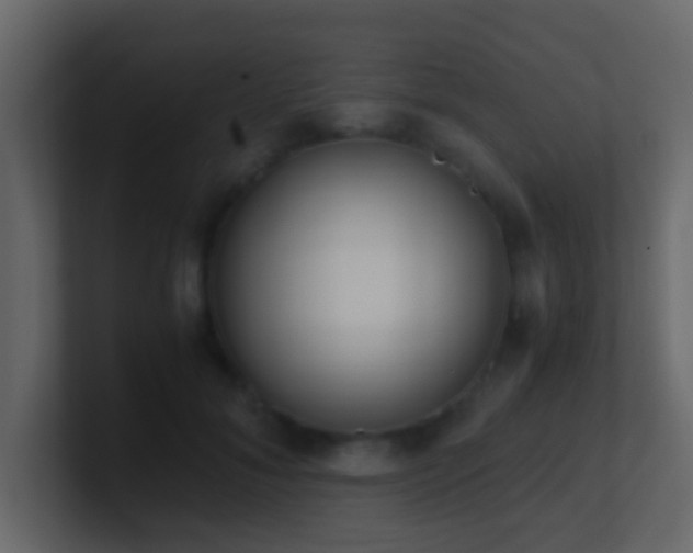 X0000101680700200807101422