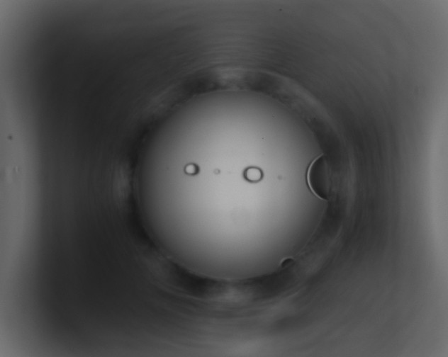 X0000101680702200807101422