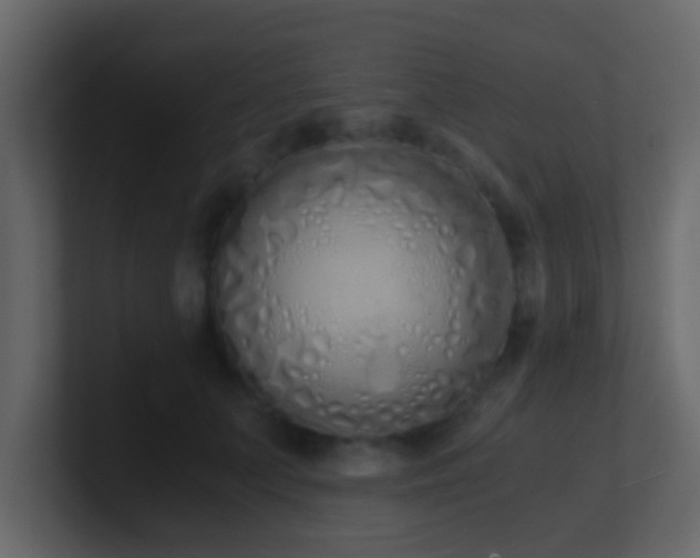 X0000101680703200807101422