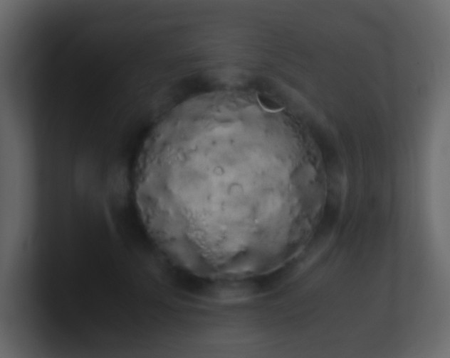 X0000101680707200807101421