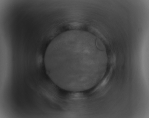 X0000101680711200807101421