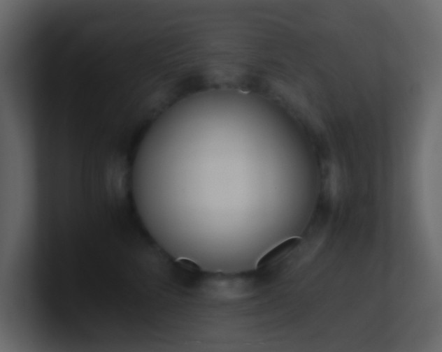 X0000101680712200807101421